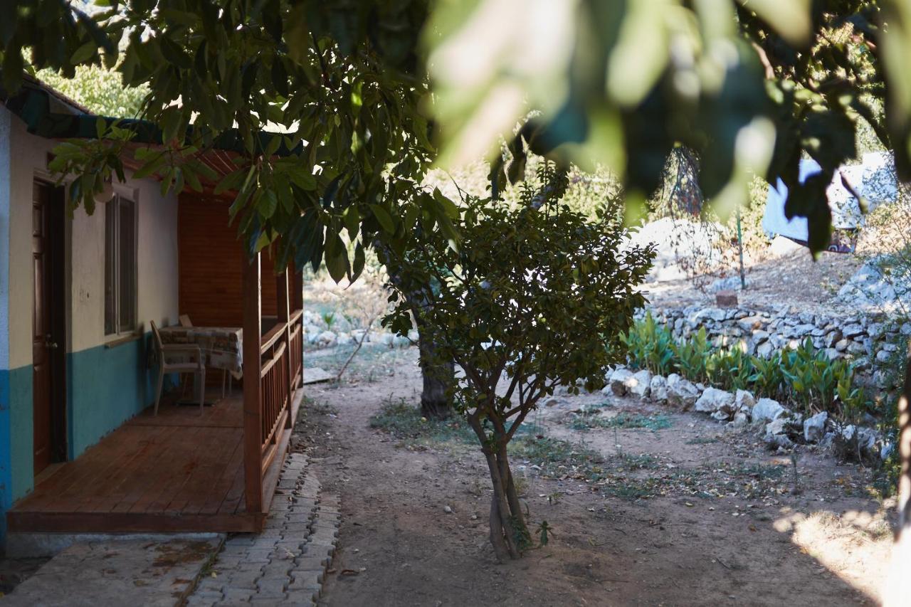 Village Garden Pansiyon Antalya Dış mekan fotoğraf