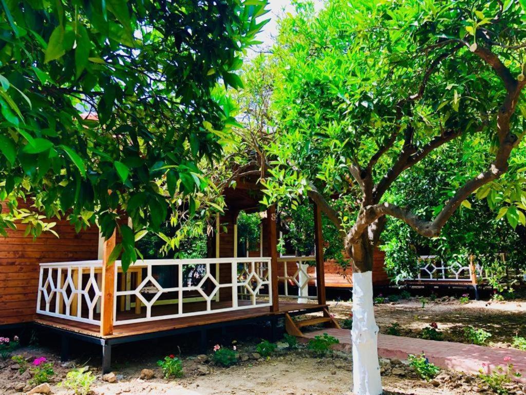 Village Garden Pansiyon Antalya Dış mekan fotoğraf