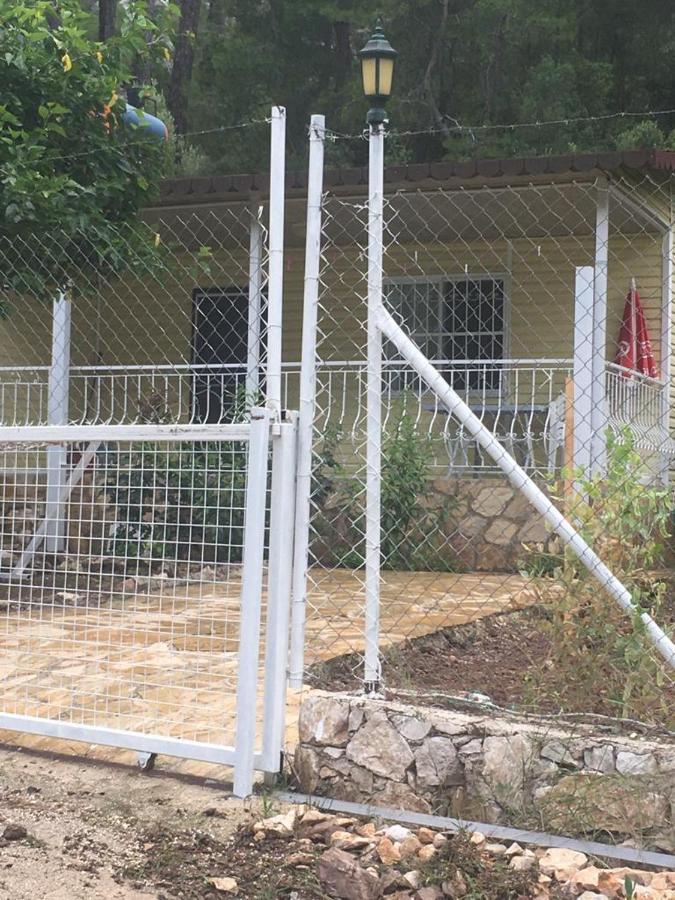Village Garden Pansiyon Antalya Dış mekan fotoğraf