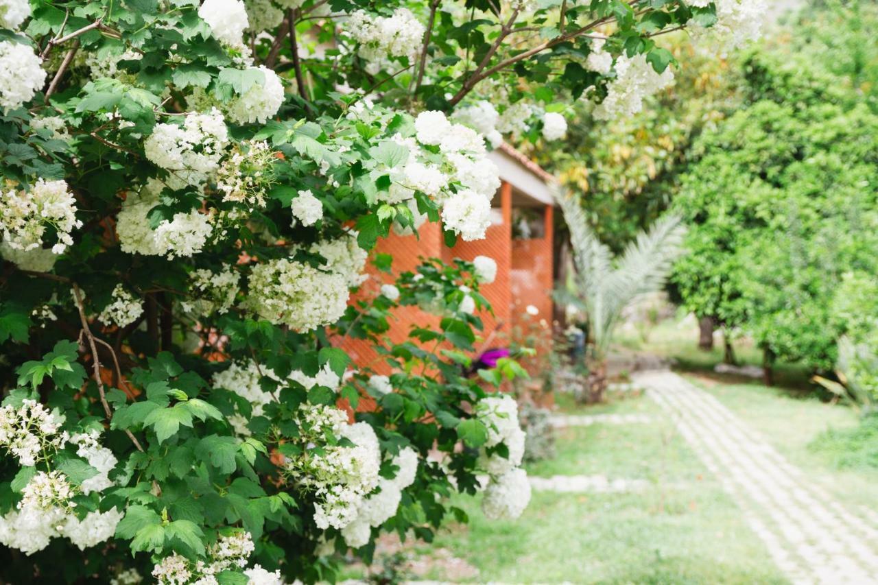 Village Garden Pansiyon Antalya Dış mekan fotoğraf