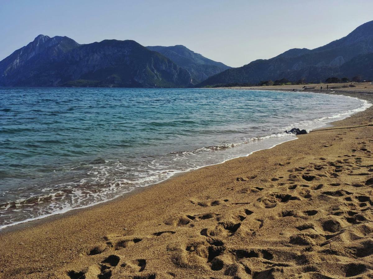 Village Garden Pansiyon Antalya Dış mekan fotoğraf