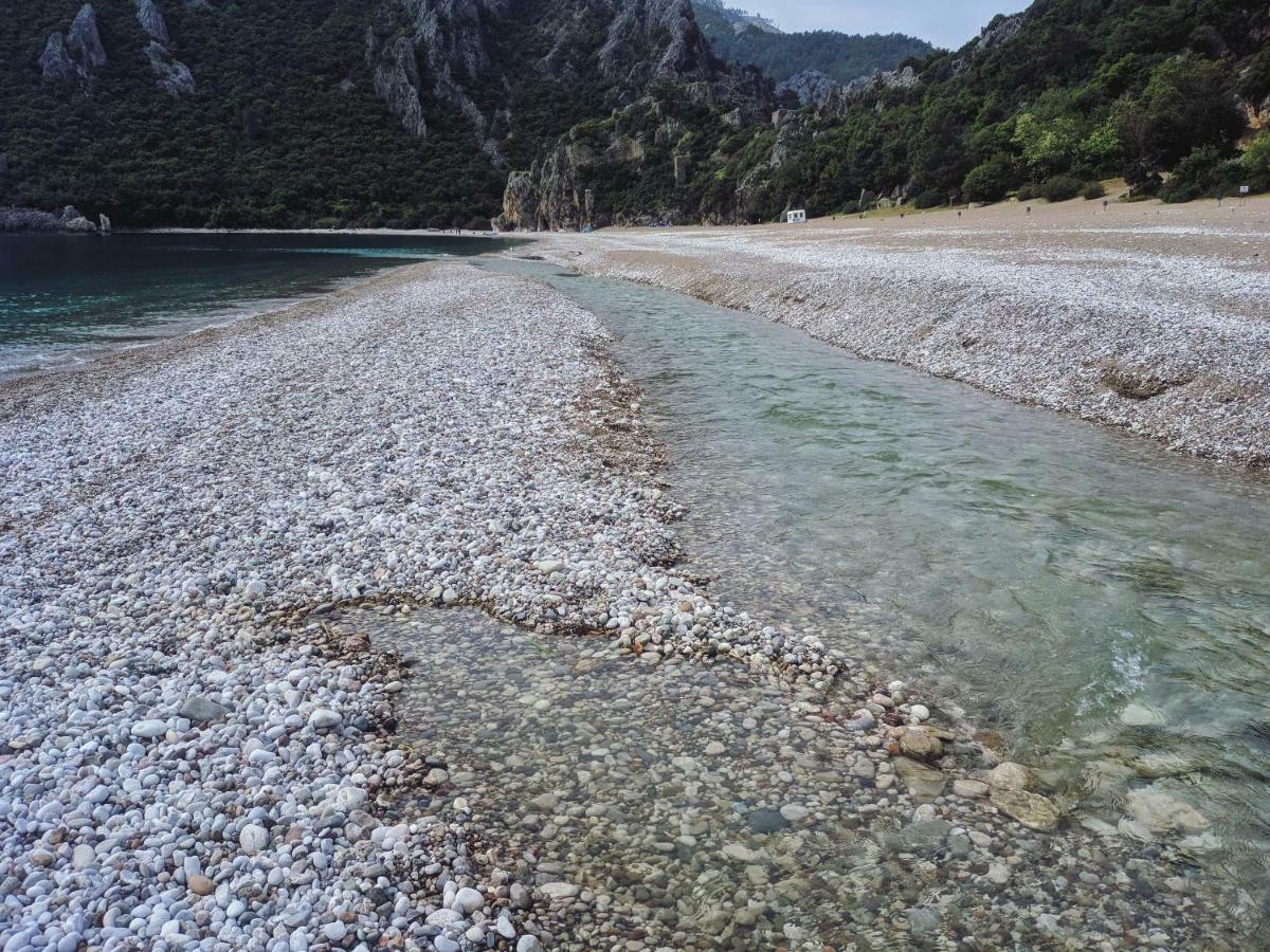 Village Garden Pansiyon Antalya Dış mekan fotoğraf